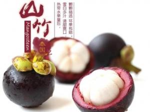 ɽ����΄�Ƥ���D�℃ɽ��ķ����͸[�T ɽ����ô���x�ͱ��汣�r