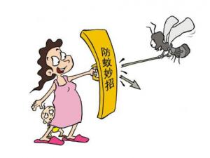 家居防蚊有哪些措施？夏季防蚊植物