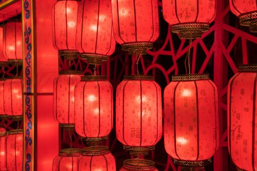 ����ʮ���͟�-�z�D�W