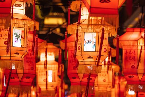 ����ʮ���͟�������߀������-�z�D�W