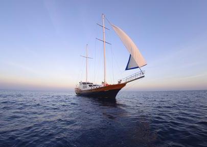 7��11����ʲô��(ji��)�գ��Ї��������ǎ����գ��Ї������յ��Ɂ�