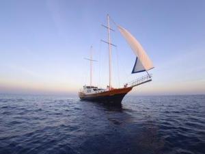 7月11日是什么節日？中國航海日是幾月幾日