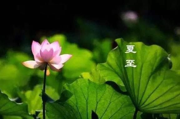 夏至節(jié)氣過(guò)后白天越來(lái)越長(zhǎng)還是越來(lái)越短 夏至過(guò)后是什么節(jié)氣