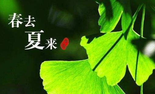 立夏有什么是要忌諱的?立夏要吃什么傳統(tǒng)食物