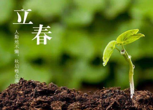 �����ű�����ʲô���x���������\Ҫע��ʲô