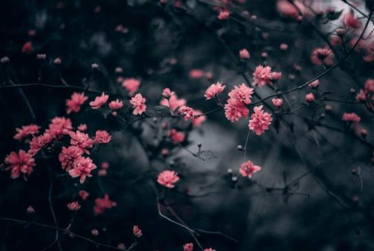 躲春一定要在自己家嗎?和孩子躲春可以都在家躲嗎?