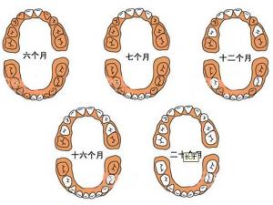 寶寶幾個月長牙？寶寶長牙順序圖 長牙注意事項