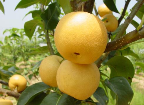 ��������Æ᣿��������ĺ�̎