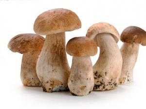 孕婦可以吃草菇嗎?適合孕婦吃草菇的做法