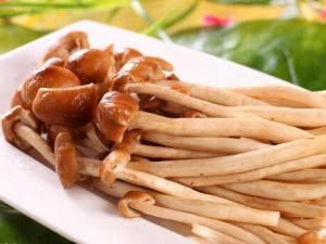 孕婦可以吃茶樹菇嗎？孕婦吃茶樹菇的禁忌