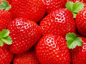 �ЋD���ԳԲ�ݮ�����ЋD�Բ�ݮ��ʲô��̎