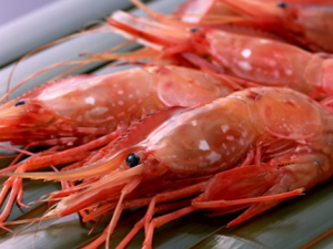 草蝦怎么做好吃?草蝦的營養價值