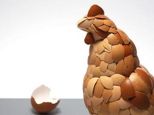 雞蛋養(yǎng)分價(jià)值都差未幾-怎么選購新鮮雞蛋？