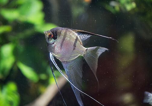 ���~���~�ה[��λ��-���~��Ʒ�N��B