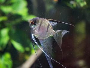 ���~���~�ה[��λ��-���~��Ʒ�N��B