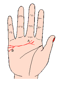 從感情線向上伸出的支線