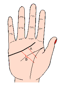 感情線圖解：感情線分支的線