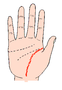 生命線圖解:生命線由長短不規則的斷線成立