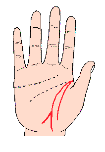生命線圖解:生命線從起點至末端不間斷