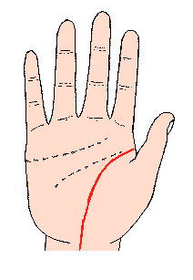 生命線圖解:生命線長至手頸中部