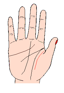 手相圖解之掌紋篇：其他紋線圖解