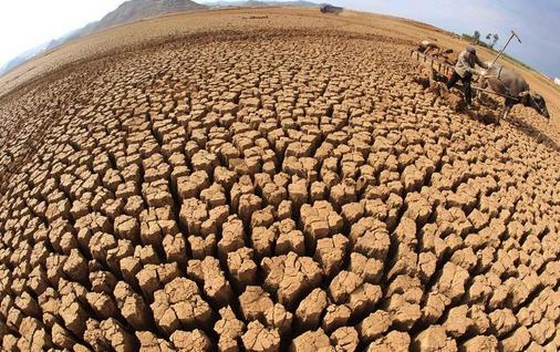 6月17日是什么節日？世界防治荒漠化和干旱日