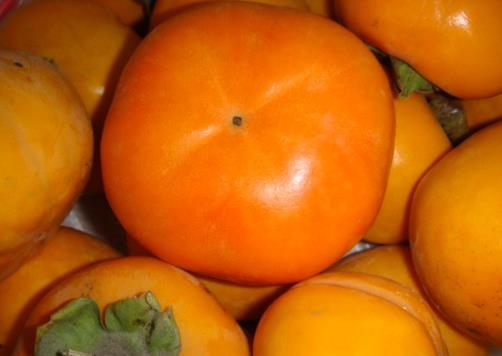 柿子太澀怎么辦?生柿子如何去澀