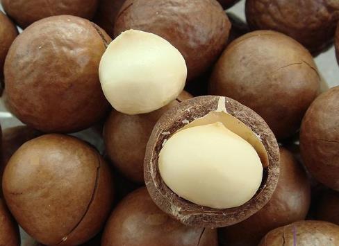 夏威夷果怎么開？吃夏威果的注意事項