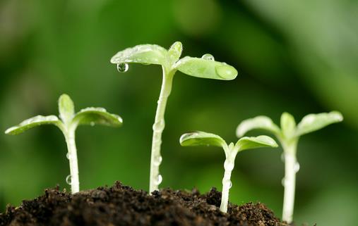 9月10日是什么節日?世界預防自殺日是幾月幾日