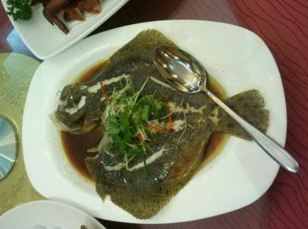 蒲魚的功效與作用,蒲魚的營養(yǎng)價值分析