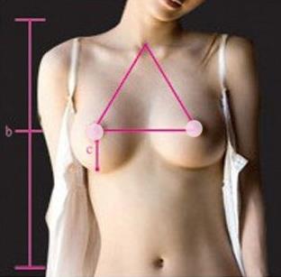 胸圍怎么算？你的胸圍是否標準？女人完美乳房標準詳細圖解