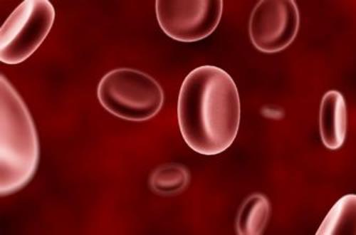 貧血怎么補血？貧血的人吃什么好？女性貧血的癥狀原因