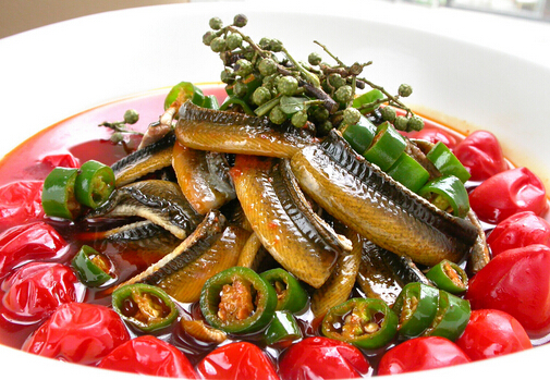 黃鱔多少錢一斤?黃鱔的價格