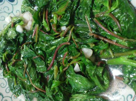 如何挑選新鮮莧菜？莧菜的挑選方法