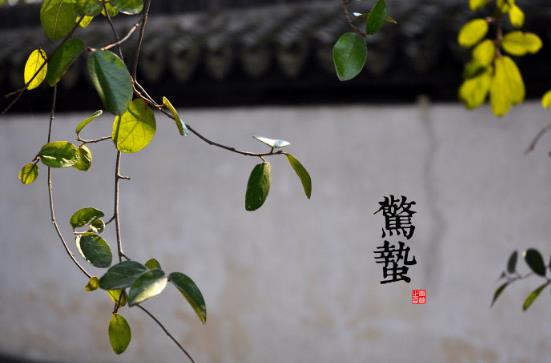 驚蟄是什么時候?二十四節氣之驚蟄的由來與含義