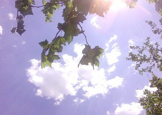 三伏天從什么時候開始？三伏天吃什么