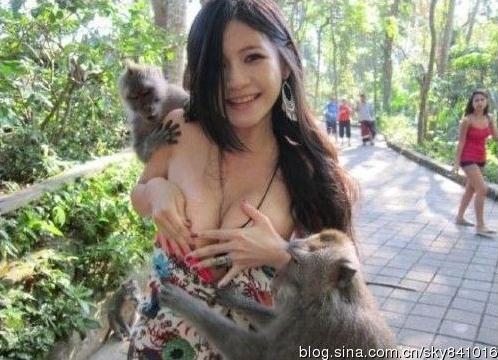盤點胸前被“扒光”事件：喂奶姐、猴抓妹、張柏芝照片