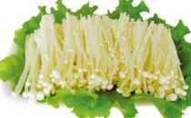 正確認識毛囊炎 毛囊炎傳染嗎？