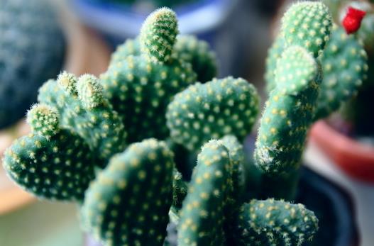 腱鞘炎是什么? 引起腱鞘炎的原因有哪些?