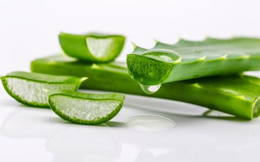 蘆薈的美容功效：蘆薈如何美容？