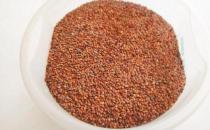 海藻面膜最實用：保濕美白都可以！