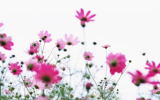 不喝酒才能瘦臉哦！瘦臉需要做什么？