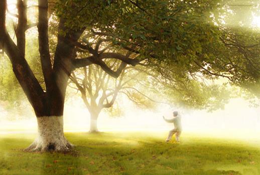 這些健康養生金句真的科學嗎？