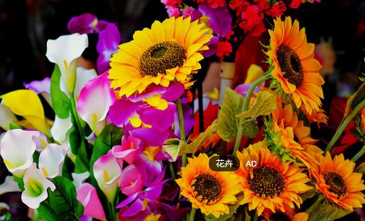 花卉的相克與相生你知道嗎?