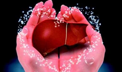 如何有效的養肝護肝？中醫傳授6大護肝秘訣