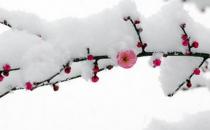 ?已經立冬了，祝你冬天快樂