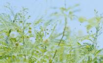 如何表達你的愛？給予不要保留