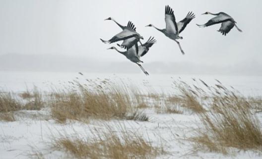 女人一生要談多少場戀愛才好？