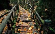 什么男人可以嫁？低調奢華有內涵