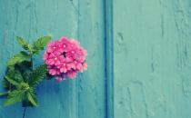 女人應(yīng)該怎么跨入戀愛之門？